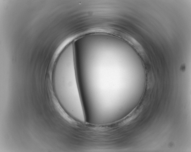 X0000092040796200709121004