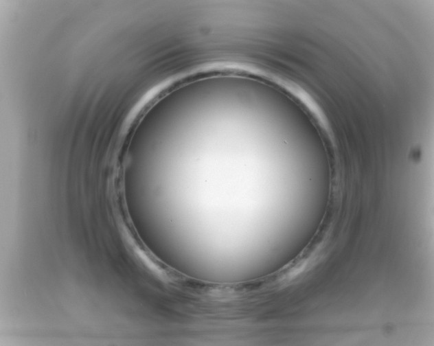 X0000092040799200709121004