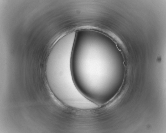 X0000092040801200709121004