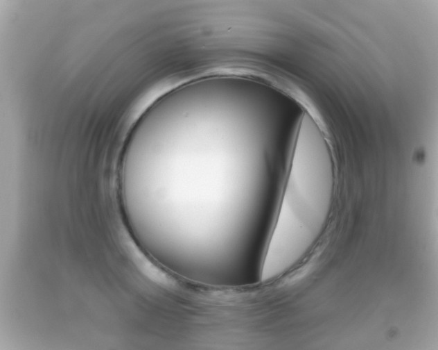X0000092040803200709121004
