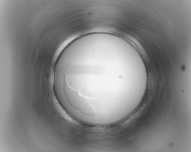 X0000092040804200709121004