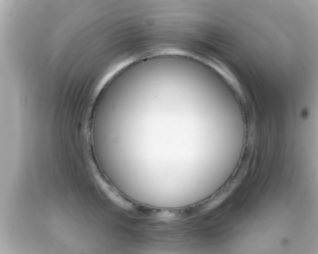 X0000092040806200709121004
