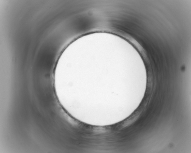 X0000092040807200709121004