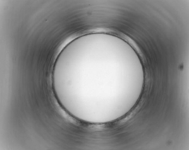 X0000092040810200709121004