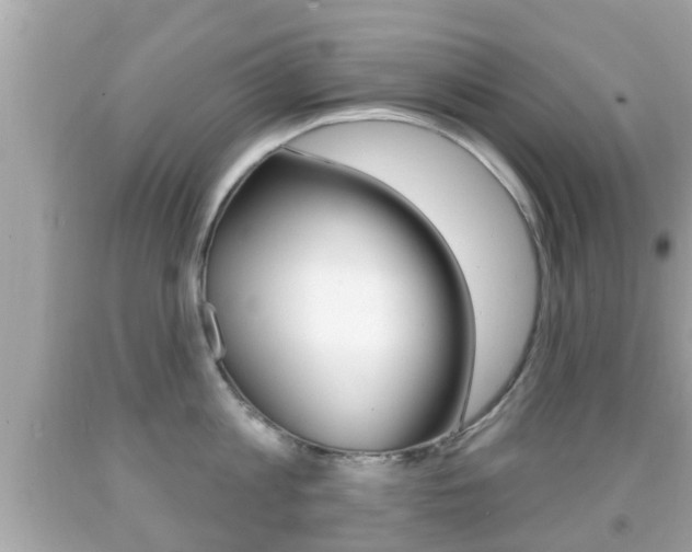 X0000092040813200709121004