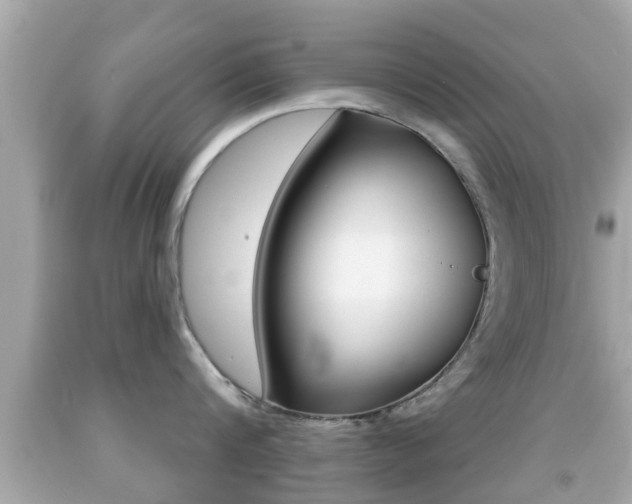X0000092040816200709121004