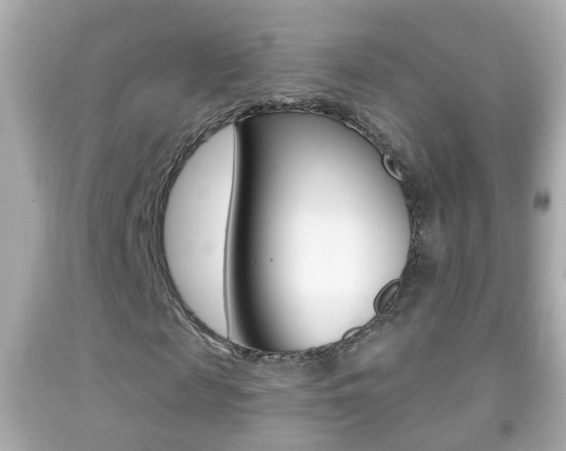 X0000092040817200709121003