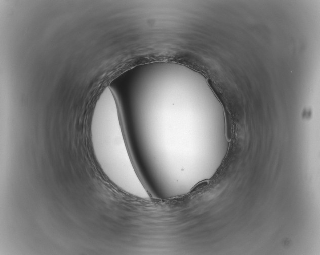 X0000092040818200709121003