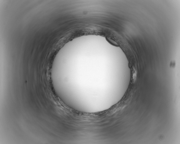 X0000092040819200709121003