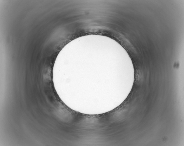 X0000092040820200709121003