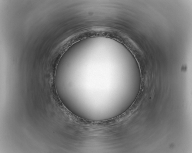 X0000092040821200709121003
