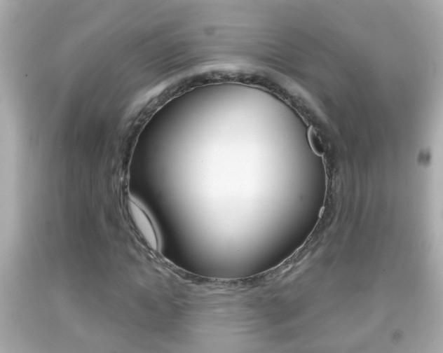 X0000092040822200709121003
