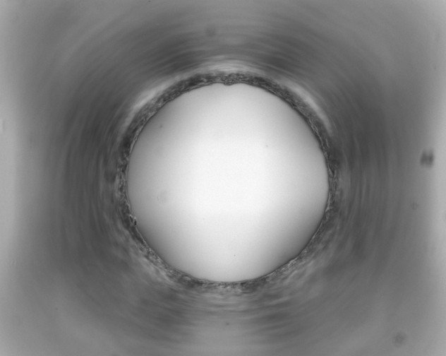 X0000092040823200709121003