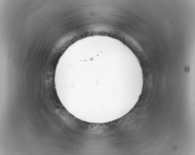 X0000092040824200709121003