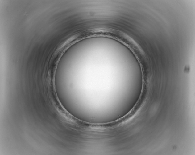 X0000092040825200709121003