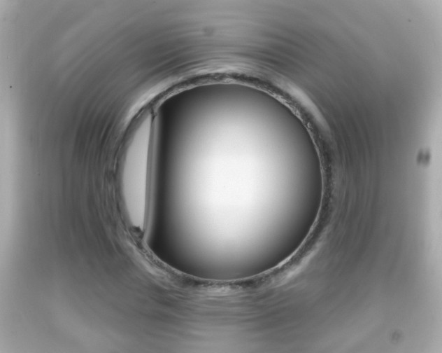 X0000092040826200709121003