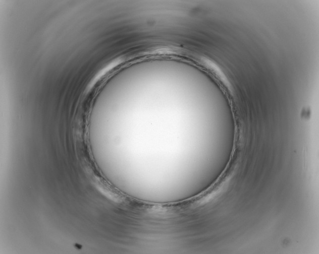 X0000092040827200709121003