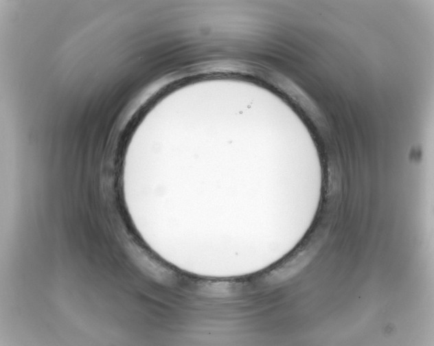 X0000092040828200709121003