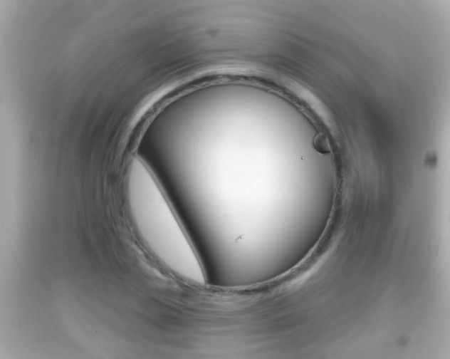 X0000092040829200709121003