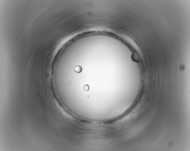 X0000092040831200709121003