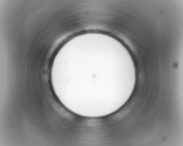 X0000092040832200709121003