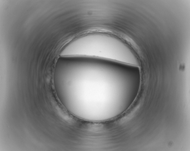 X0000092040833200709121003