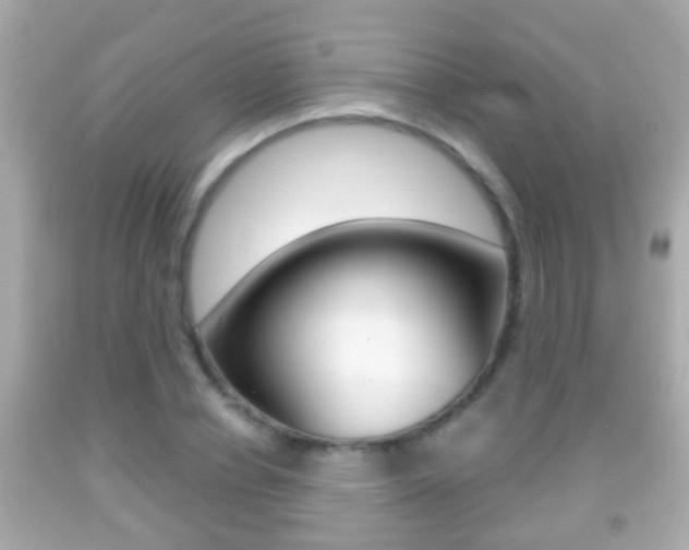 X0000092040834200709121003