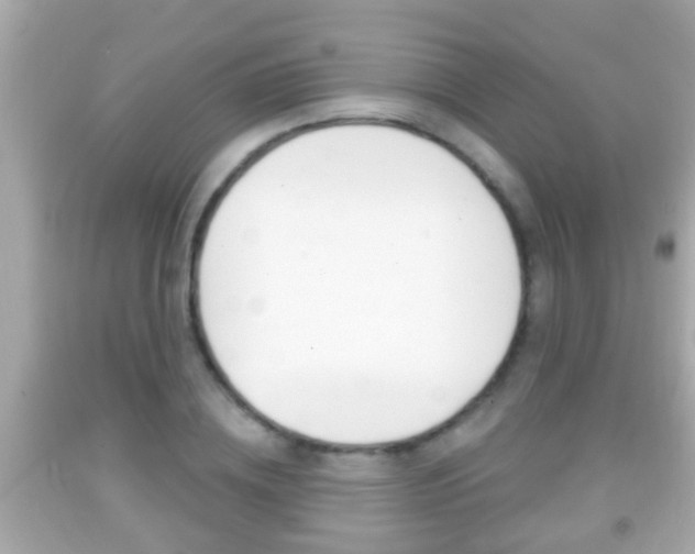 X0000092040836200709121003