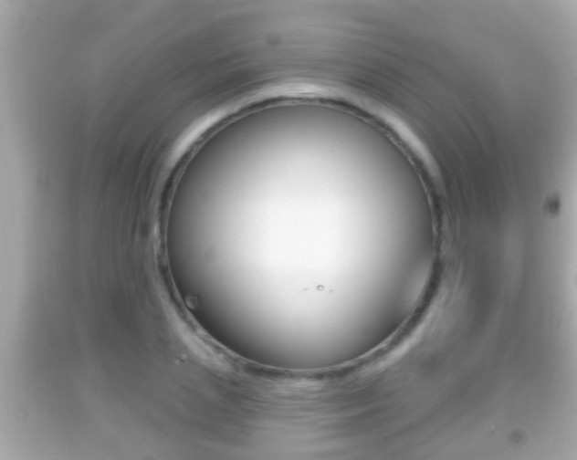 X0000092040837200709121003