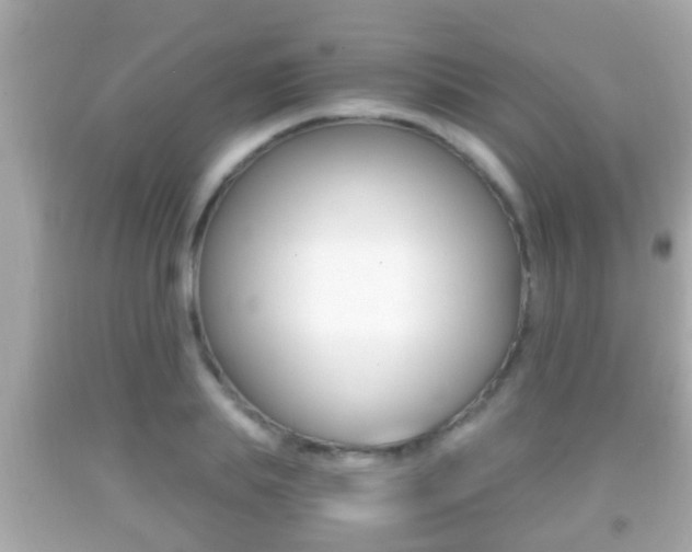 X0000092040839200709121003