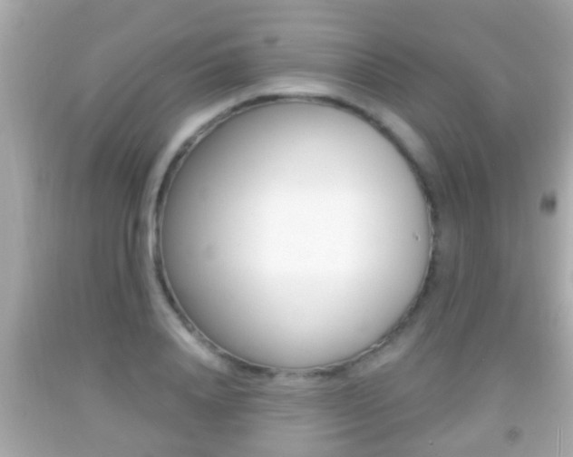 X0000092040840200709121003