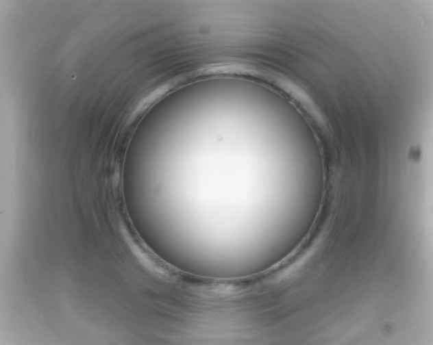 X0000092040841200709121003
