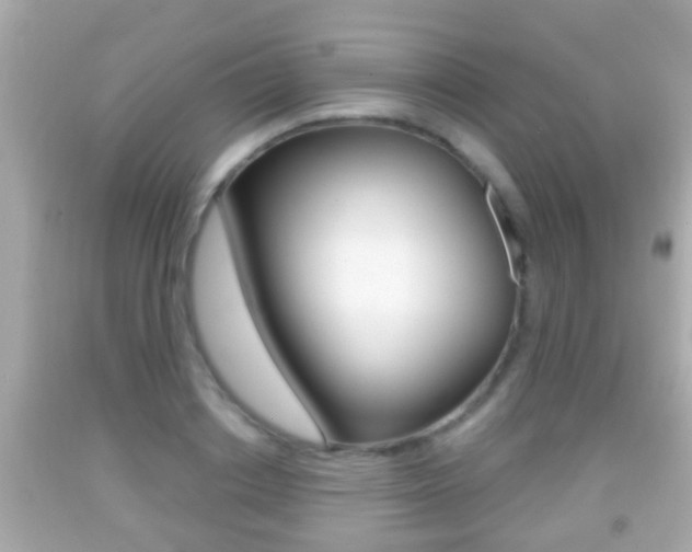 X0000092040842200709121004