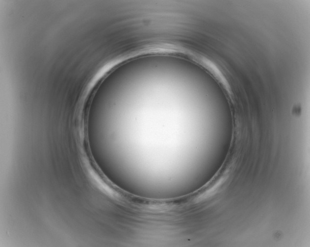 X0000092040843200709121004