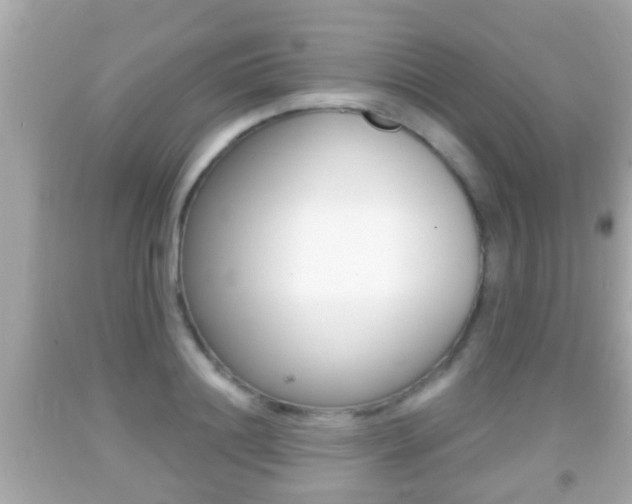X0000092040844200709121004