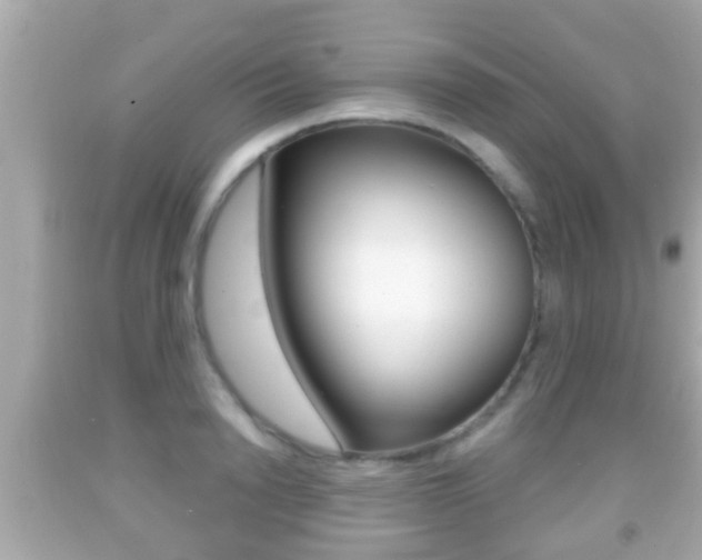 X0000092040846200709121004