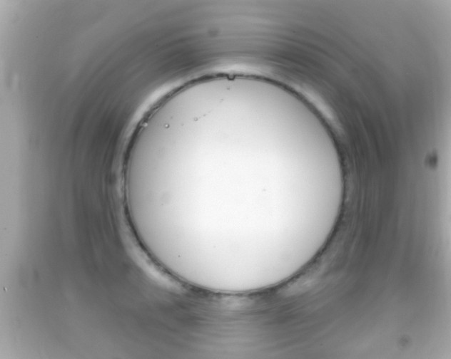 X0000092040848200709121004