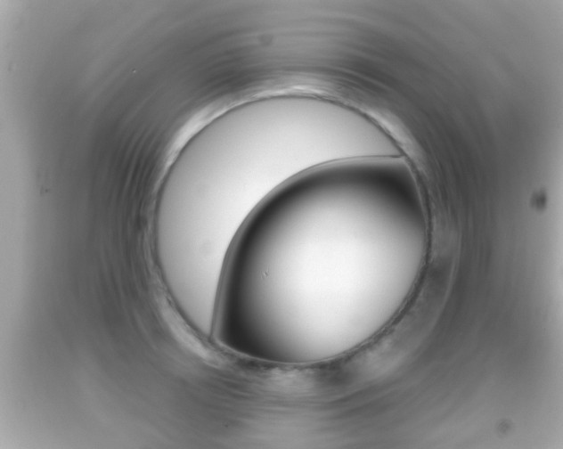 X0000092040850200709121004