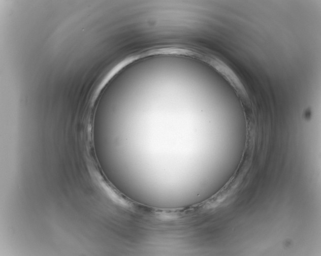 X0000092040852200709121004