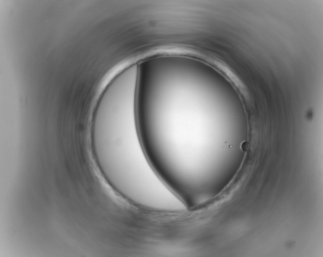 X0000092040853200709121004