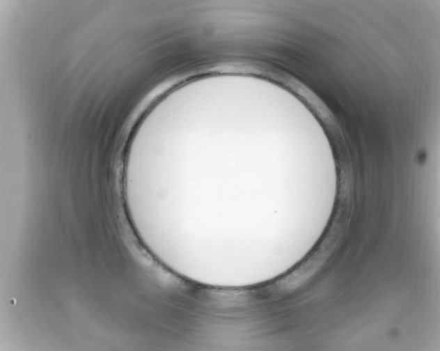 X0000092040856200709121004