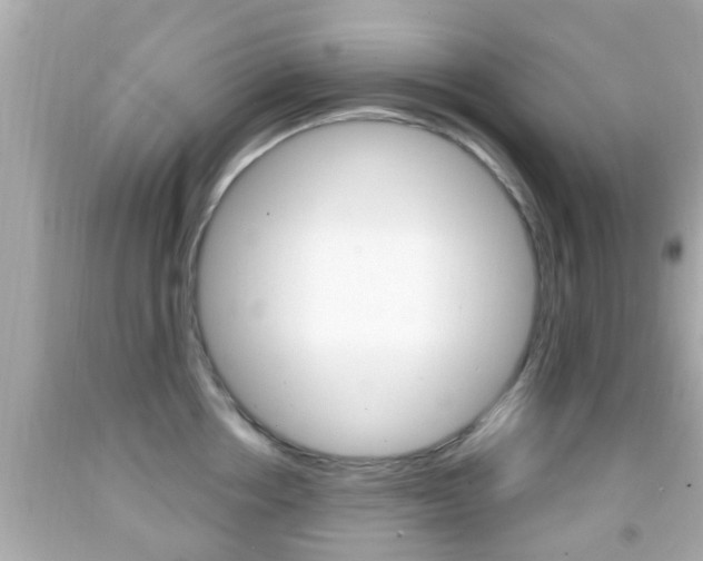 X0000092040858200709121004