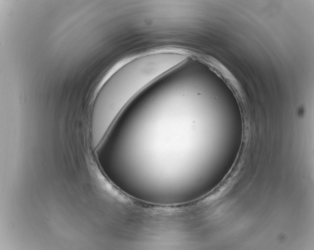 X0000092040860200709121004