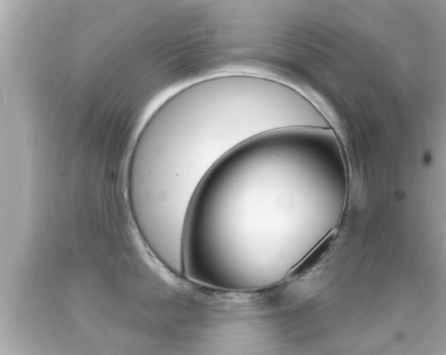 X0000092040862200709121004