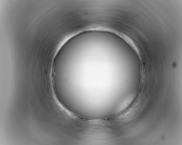 X0000092040863200709121004
