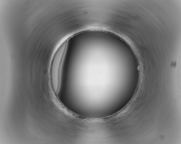 X0000092040864200709121004