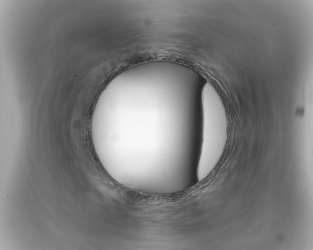 X0000092040865200709121003