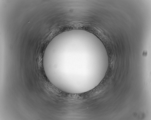 X0000092040866200709121003