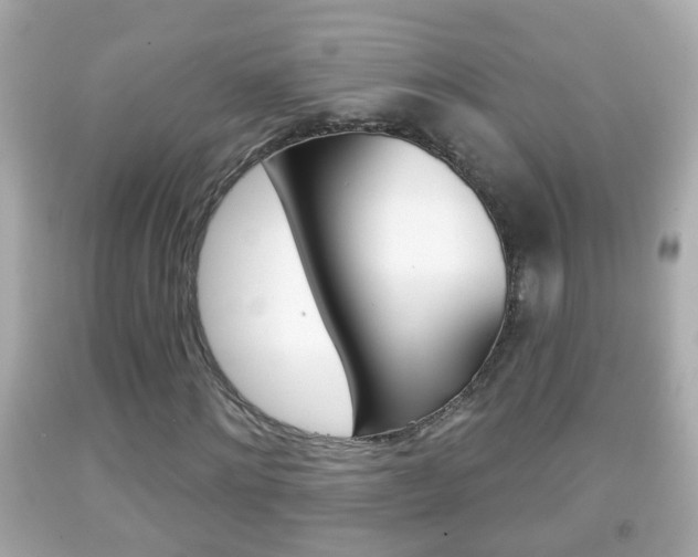 X0000092040868200709121003