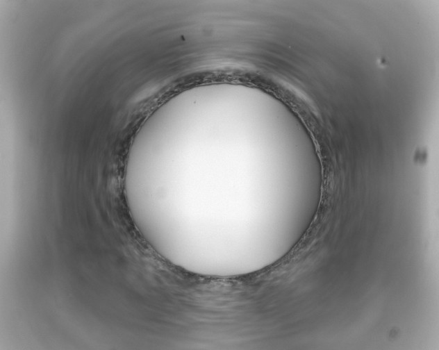 X0000092040869200709121003